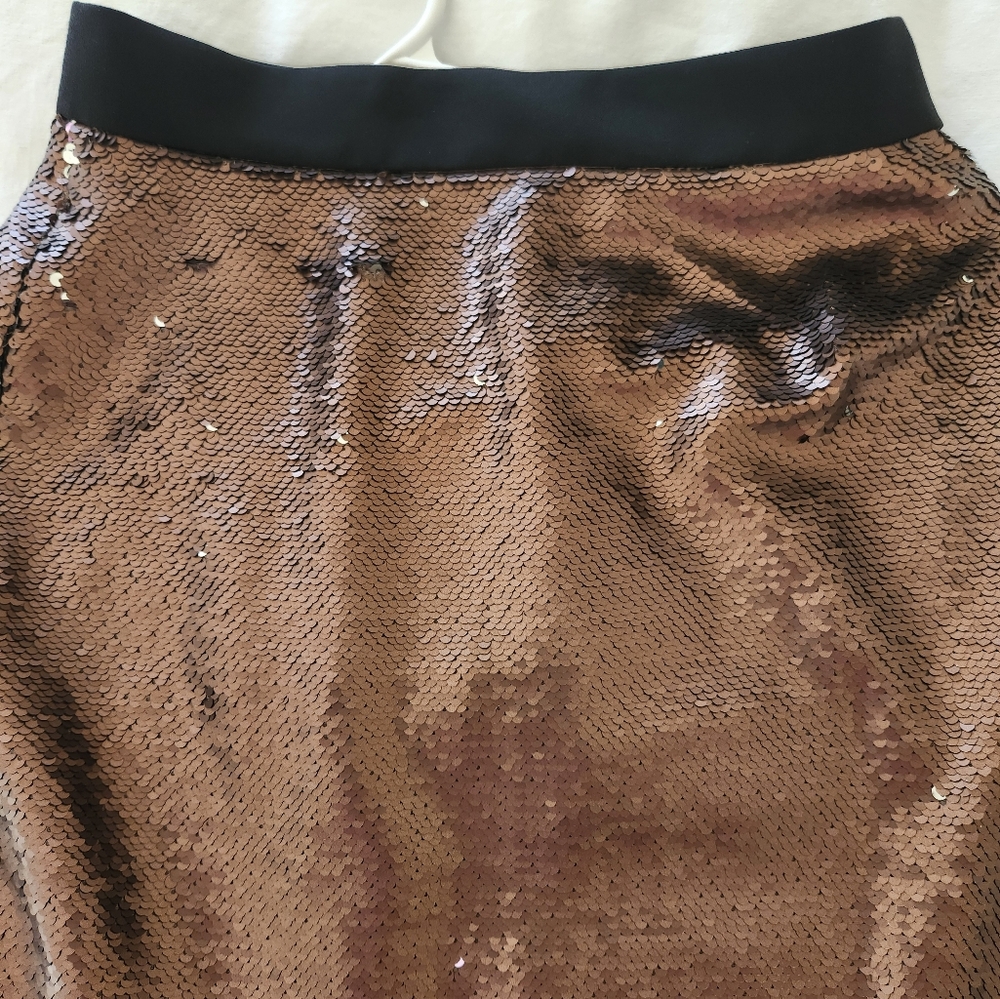 Banana Republic Chocolate Bronze Sequin Pencil Skirt